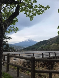 Fuji taken by my brother