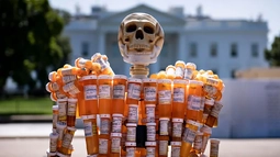 you have been visited by THE RESTORATIVE REVENANT OF SMALL PHARMA
effective treatment and affordable prices will come to you,